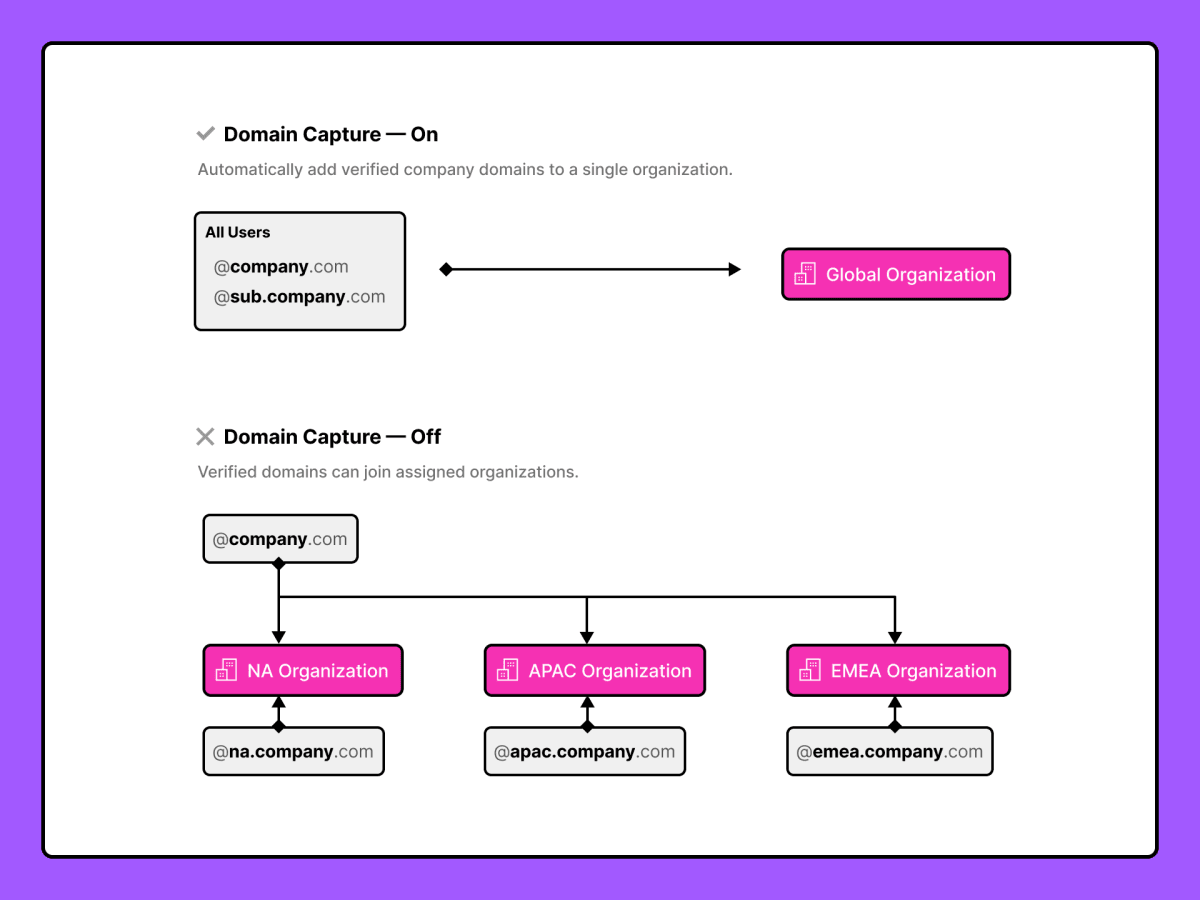 Domain_Capture___Visualization