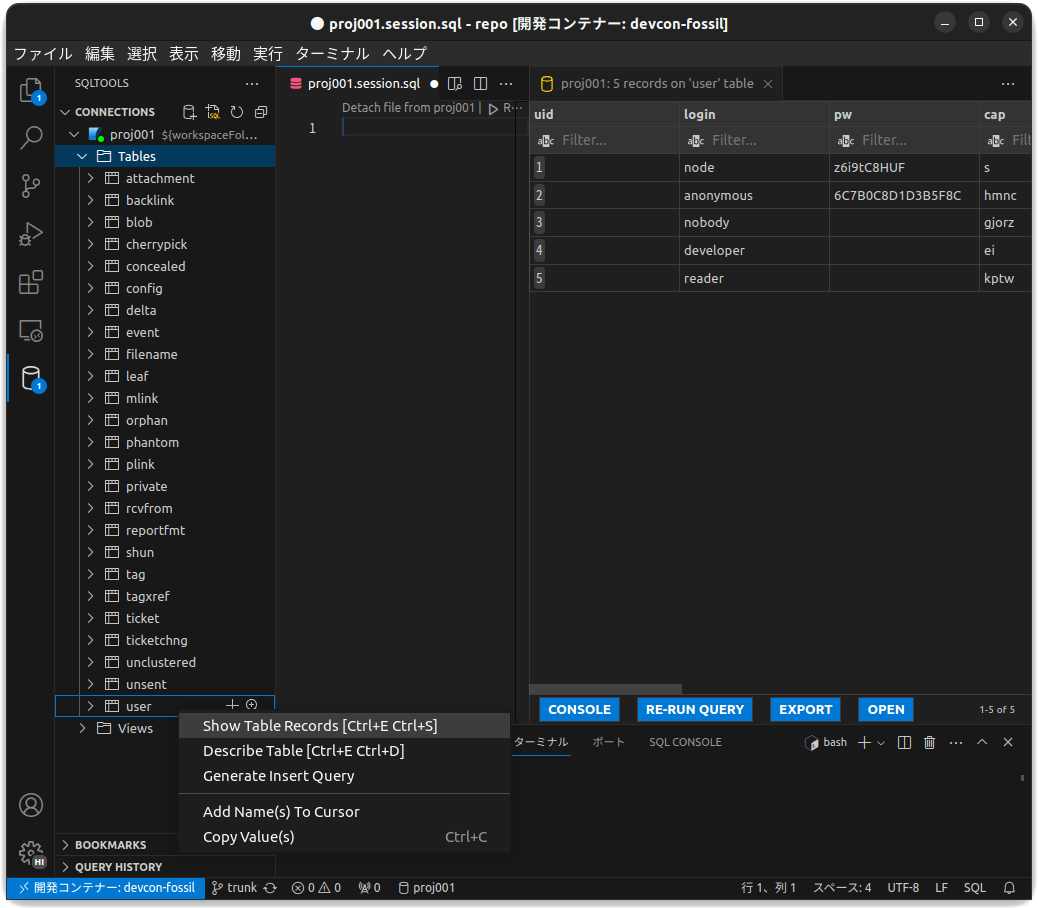 /images/20240117_devcon_fossil_vscode/devcon-fossil_20-sqltool02.png