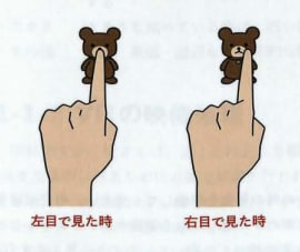 左目と右目が見ている映像が違うことがわかると思います。