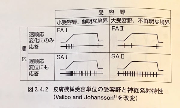 JPEG image-8959E2507EBC-1.jpeg