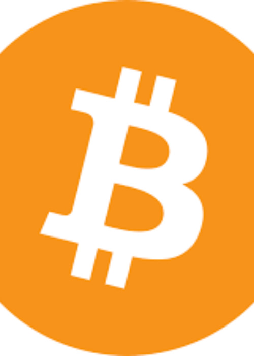 Bitcoin Development ビットコイン開発