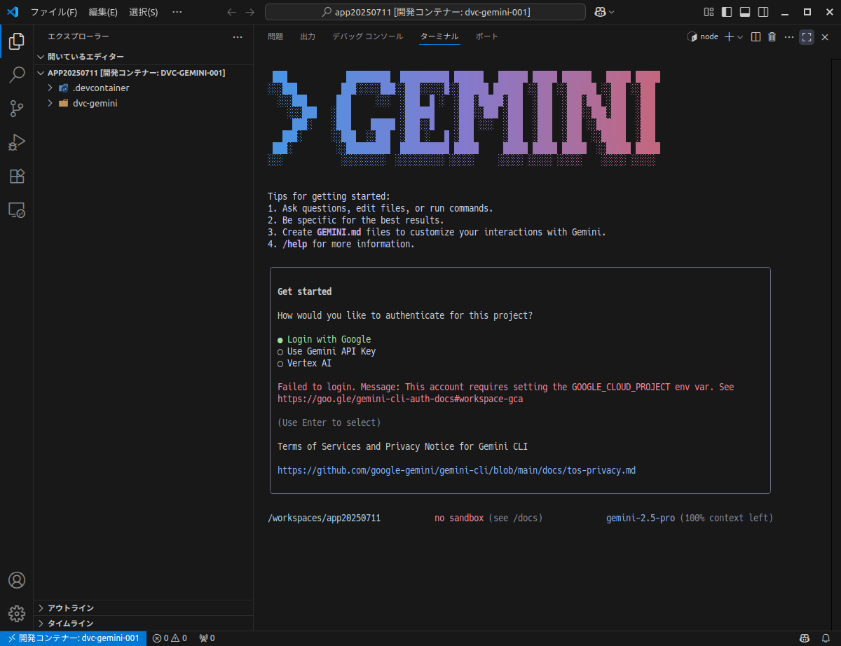 /images/20250711_gemini_devcontainers/app20250711-008.png