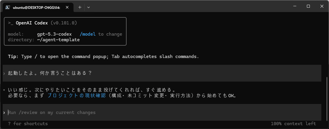 Codex doesn't know how to answer and is giving a generic response