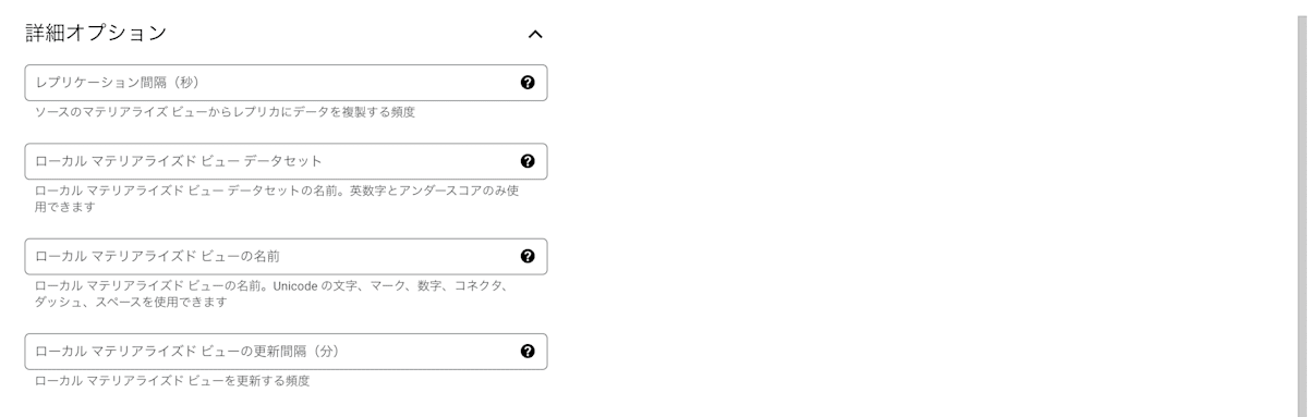 詳細オプション(記入前)