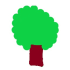 tOcOt