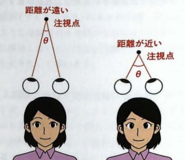 指が鼻に近い場合、左右の瞳は内側に寄り、遠いと正面を向きます。