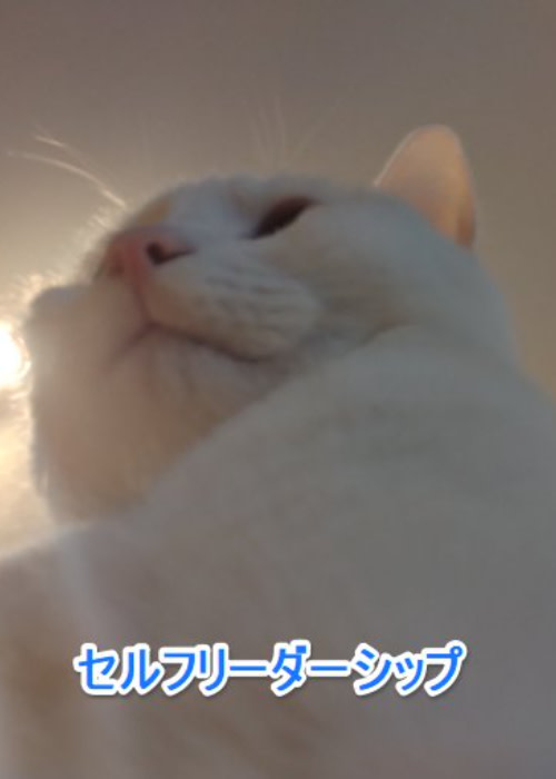 セルフリーダーシップ