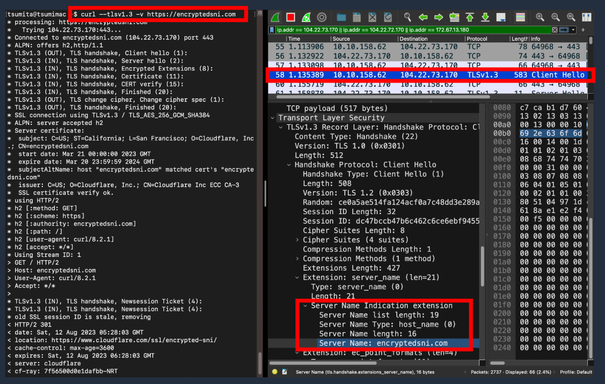 ClientHello中のSNIが暗号化されていない様子