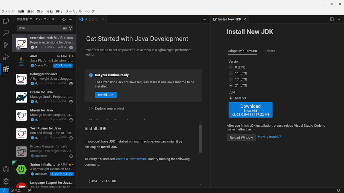 拡張機能のインストール後に画面遷移した状態。Java の開発環境を整えるための手順やコマンド、JDKのインストールに必要なリンク等が説明されている。JDKのバージョンを 8, 11, 17, 21 と最新のモノを含めて選択することができる