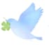 trifolium