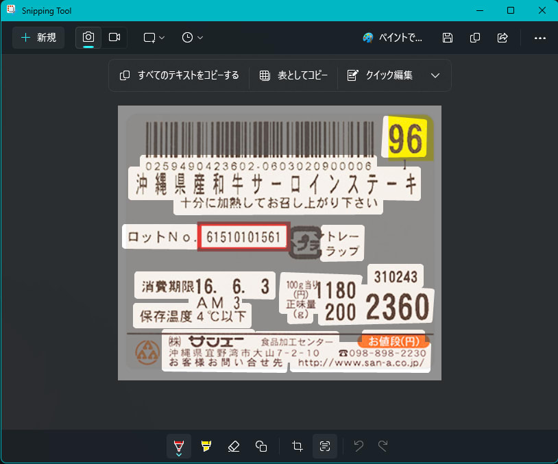 alt text