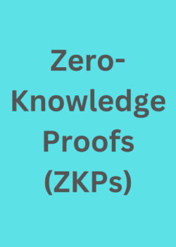 Zero-Knowledge Proofs (ZKPs)