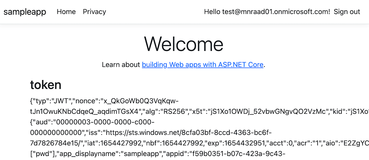 aad-multitenat-auth-02.png
