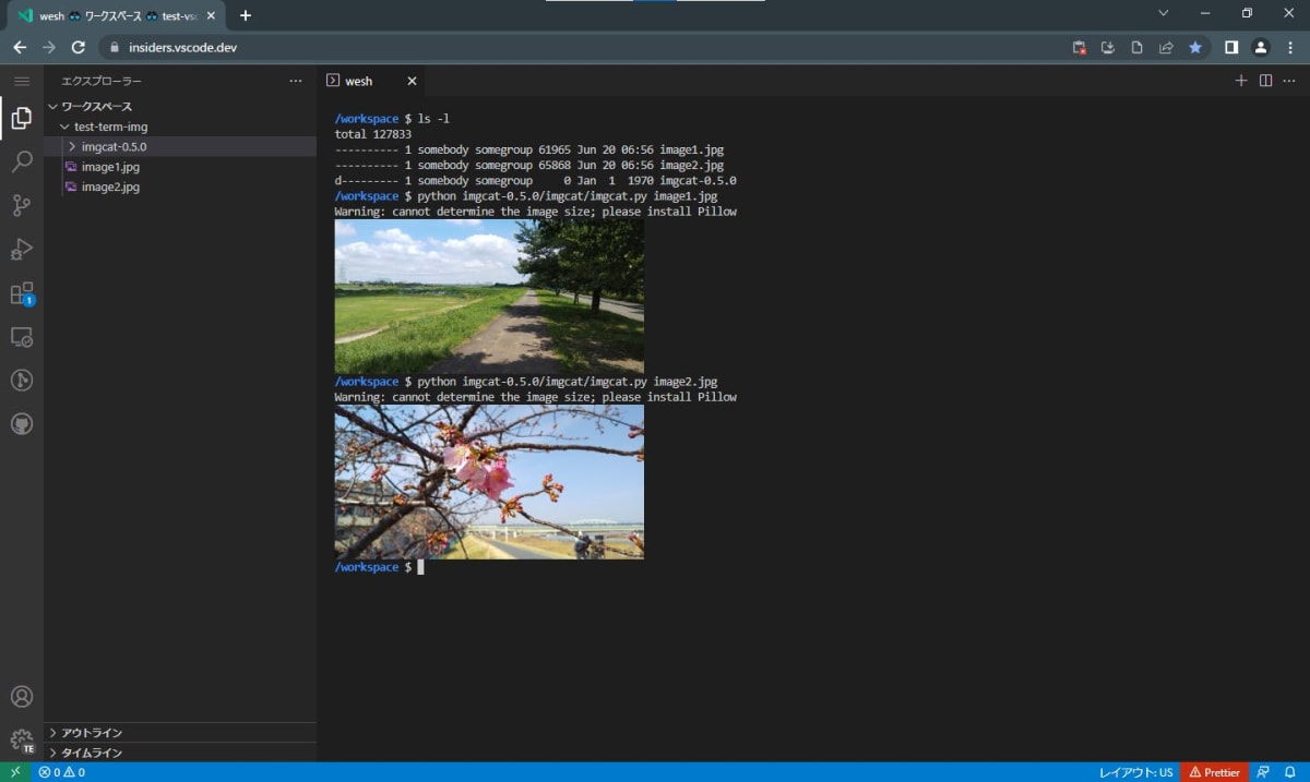Web Shell で imgcat を実行しターミナル上で画像を表示しているスクリーンショット