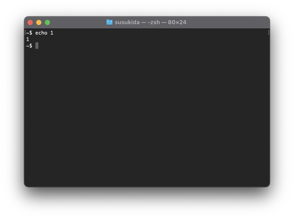 ターミナルで echo 1 を実行した直後のスクリーンショットです