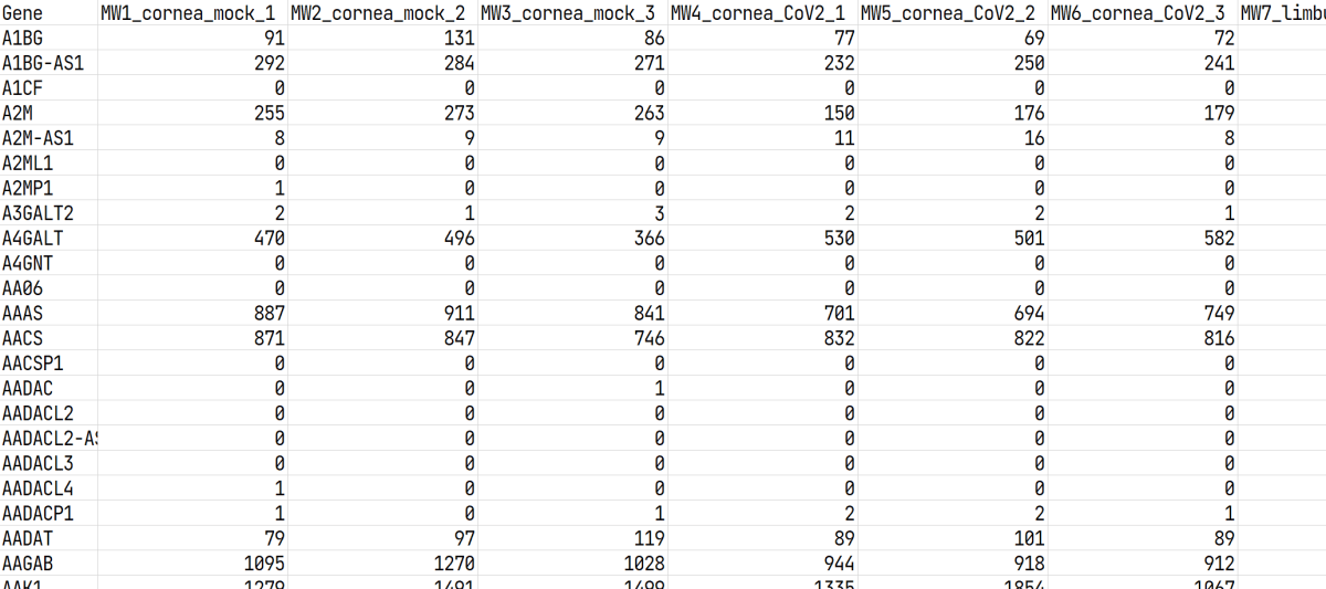 GSE164073_Eye_count_matrix.csv の抜粋