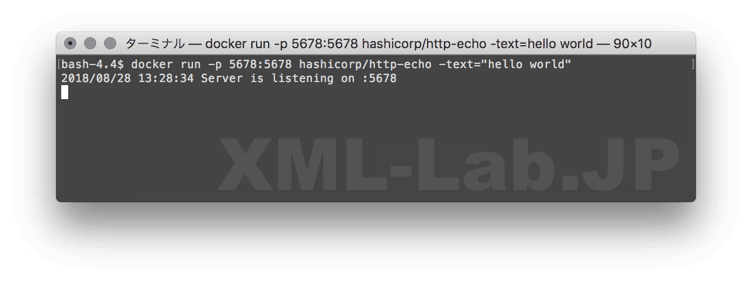 docker runの実行結果