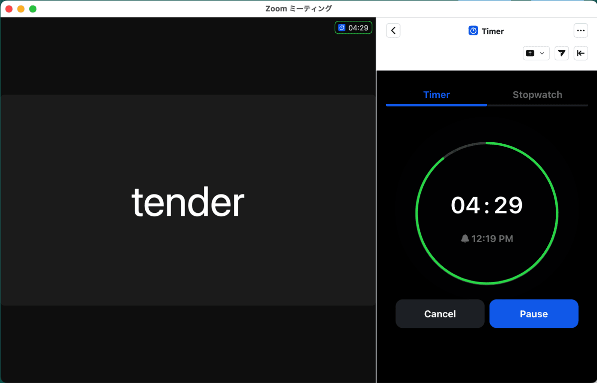 zoomApp-Timer.png