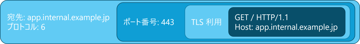 packet before DNS resolution