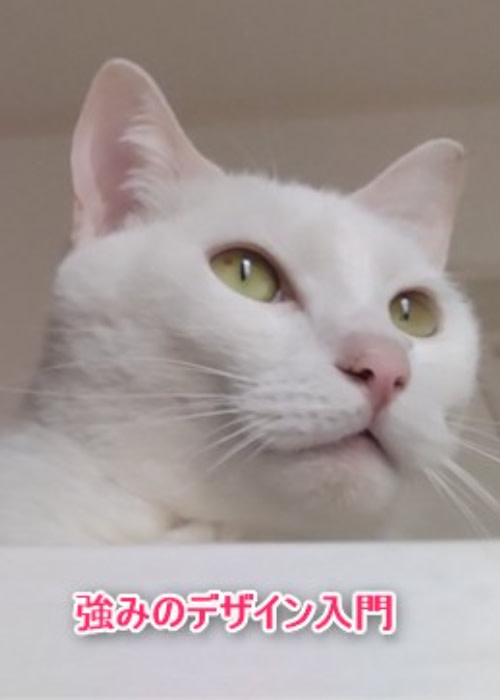 強みのデザイン入門