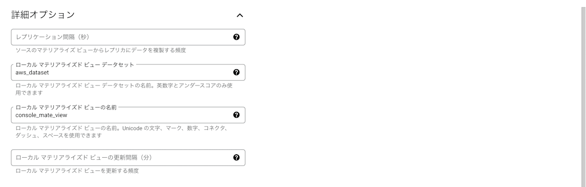 詳細オプション(記入後)