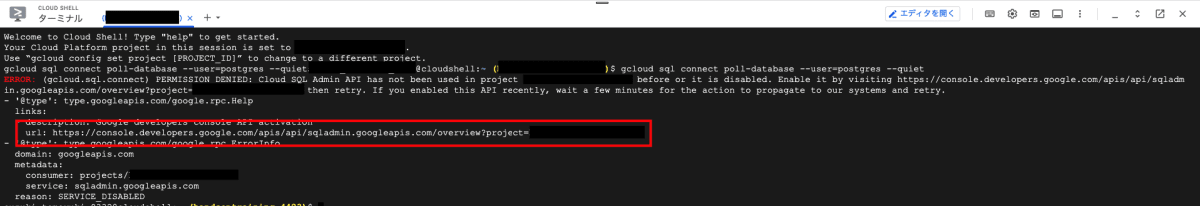 sql_gcloud_shell_command_api.png