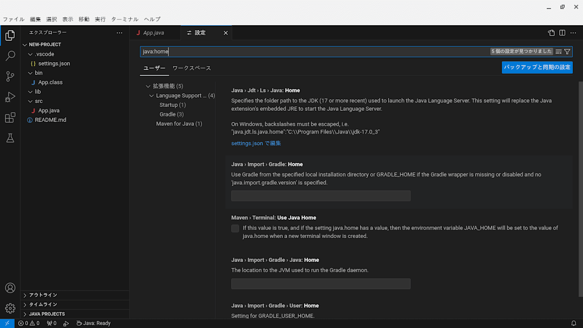 VSCode設定タブに "java:home" と入力した状態。検索結果の最上段に "Java › Jdt › Ls › Java: Home" がある