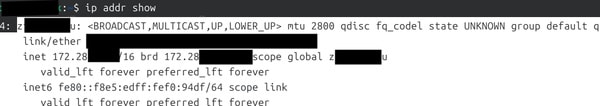 ZeroTierネットワークインターフェースの確認
