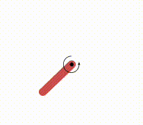 レコーディング-2024-09-30-170626.gif