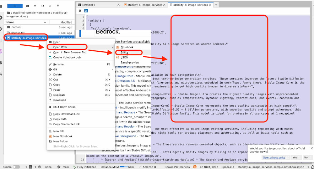 open_with_json