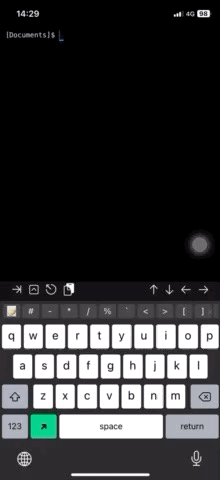 preview capture gif