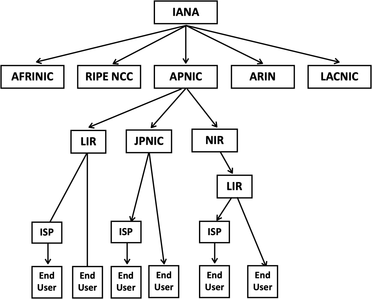 nir-structure