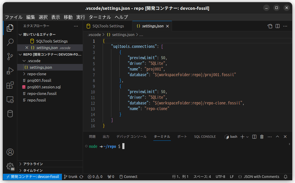 /images/20240117_devcon_fossil_vscode/devcon-fossil_21-sqltool-new_04.png