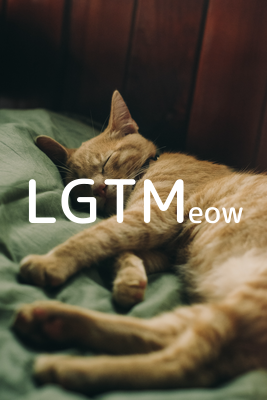LGTMeow