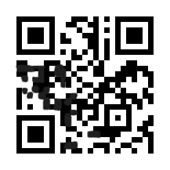 qr code blacked