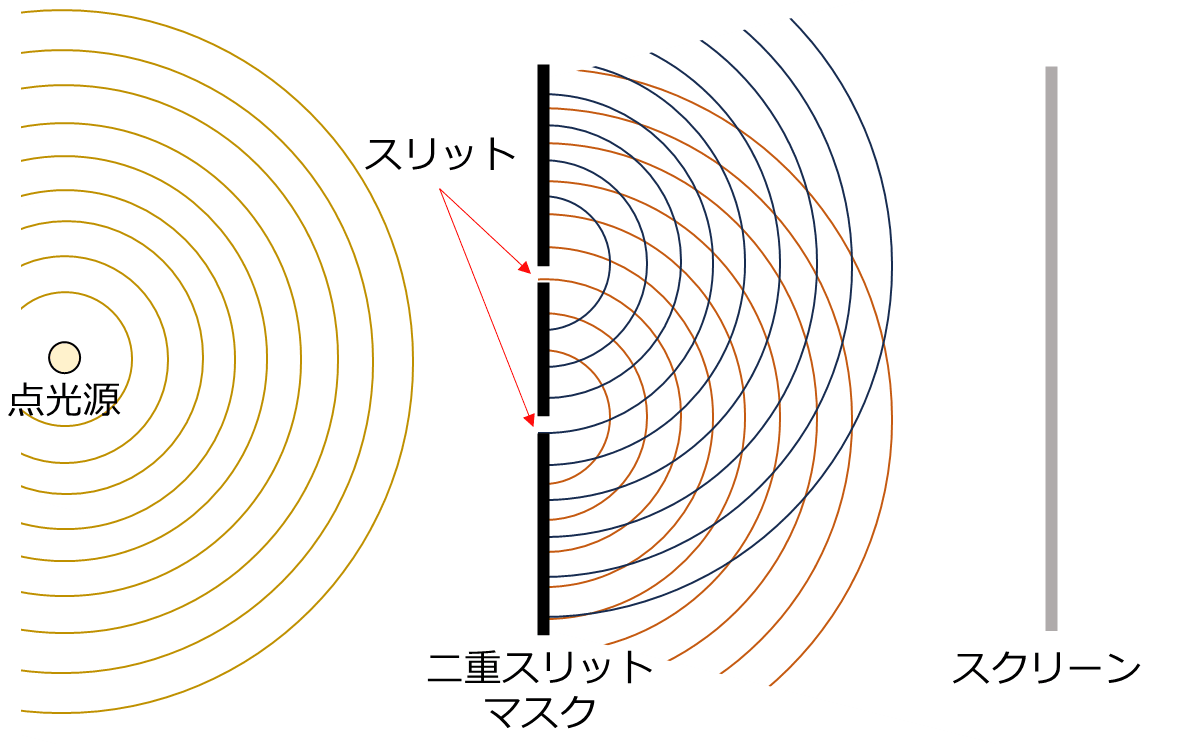 実験系