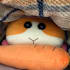 shofuk9