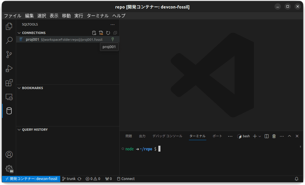 /images/20240117_devcon_fossil_vscode/devcon-fossil_20-sqltool01.png