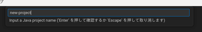 "Input a Java project name" とのラベルが表示され、テキスト入力欄に "new-project" と打ち込んでいる図
