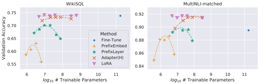 lora_parameter