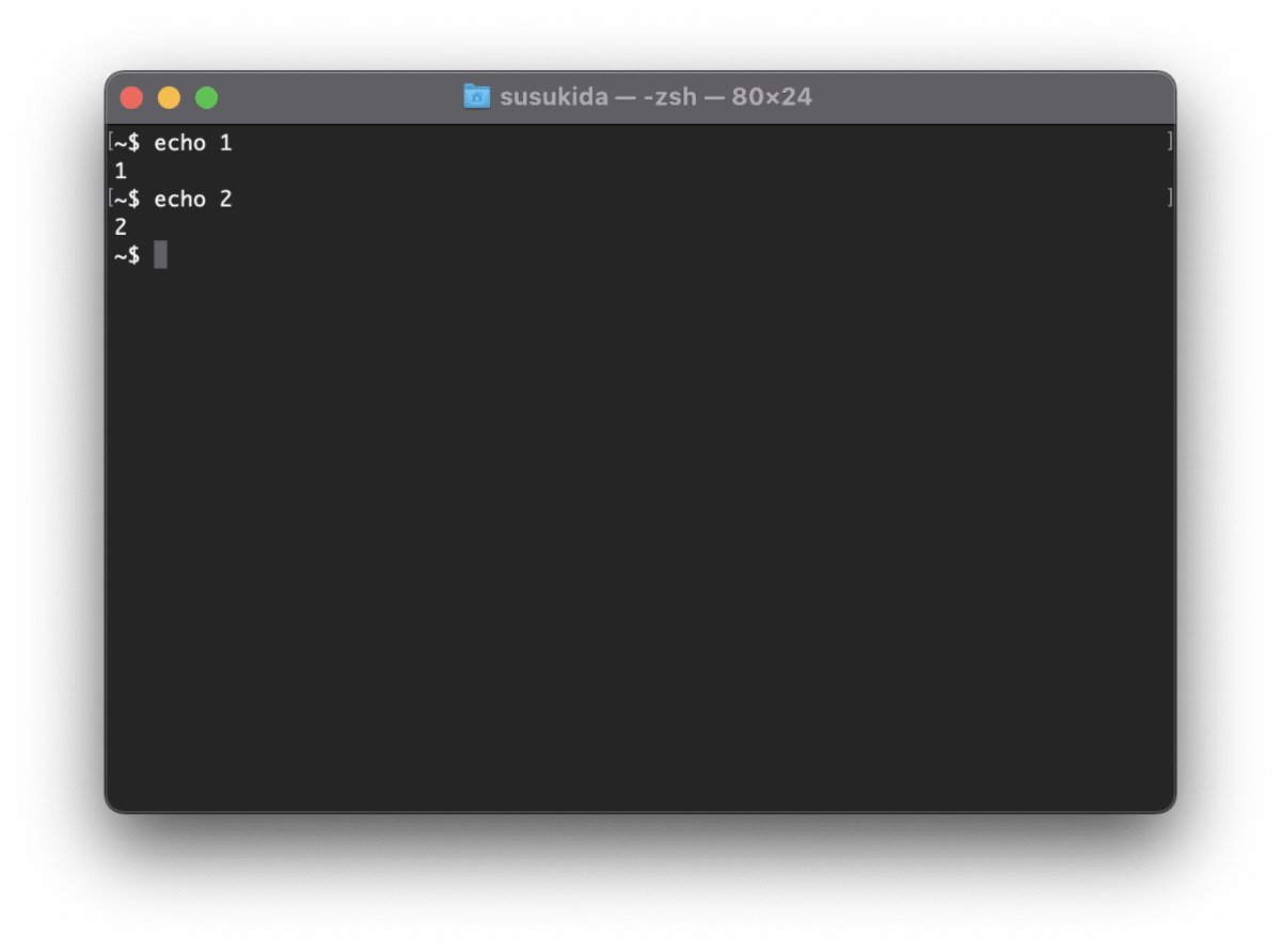 ターミナルで echo 2 を実行した直後のスクリーンショットです
