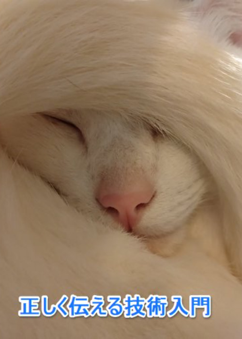 正しく伝える技術入門