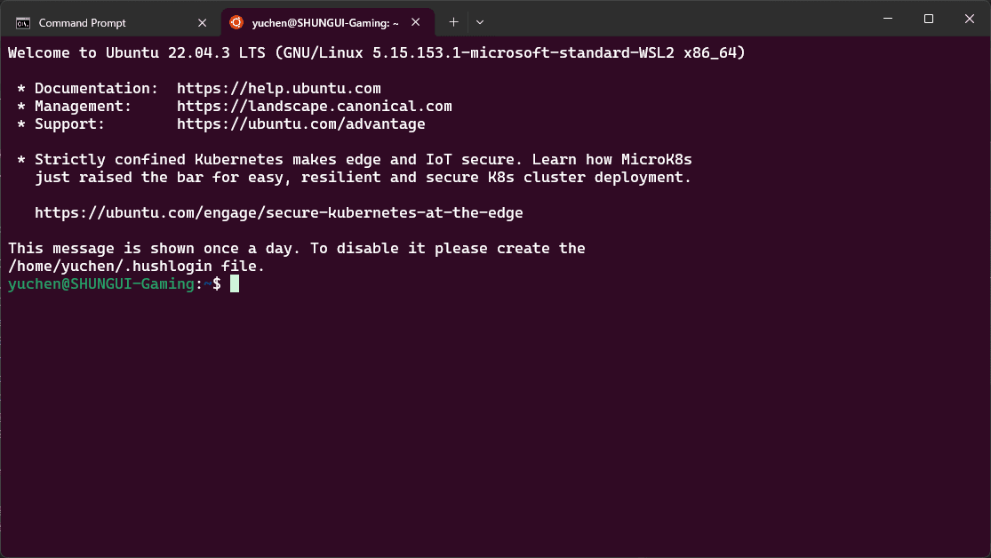 Ubuntu起動完了