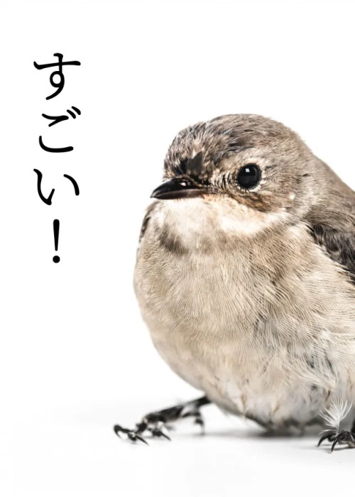テストの本