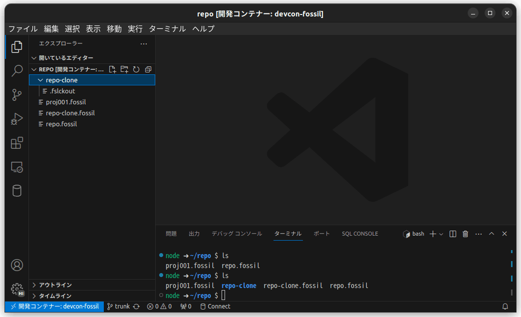/images/20240117_devcon_fossil_vscode/devcon-fossil_10-open06.png