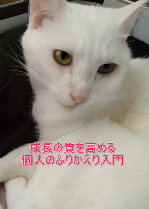 成長の質を高める 個人のふりかえり入門