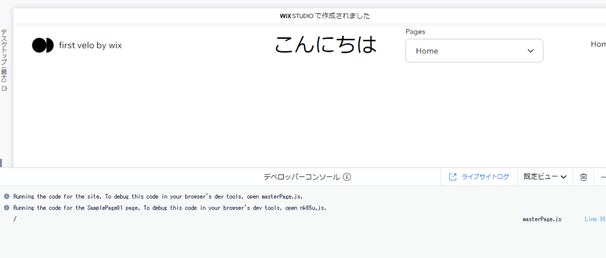 「Home」を選択した場合のデベロッパーコンソール