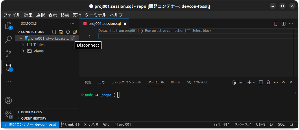 /images/20240117_devcon_fossil_vscode/devcon-fossil_20-sqltool03.png