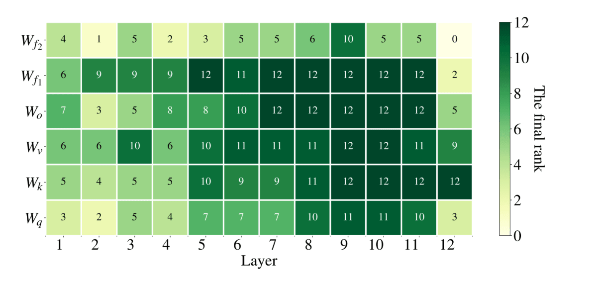 rank_distribution