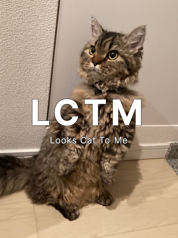 LCTM